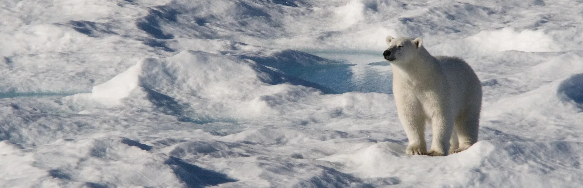 Northwest Passage Cruise MV Greg Mortimer Explore Worldwide